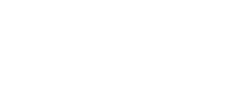 FF-Group logó